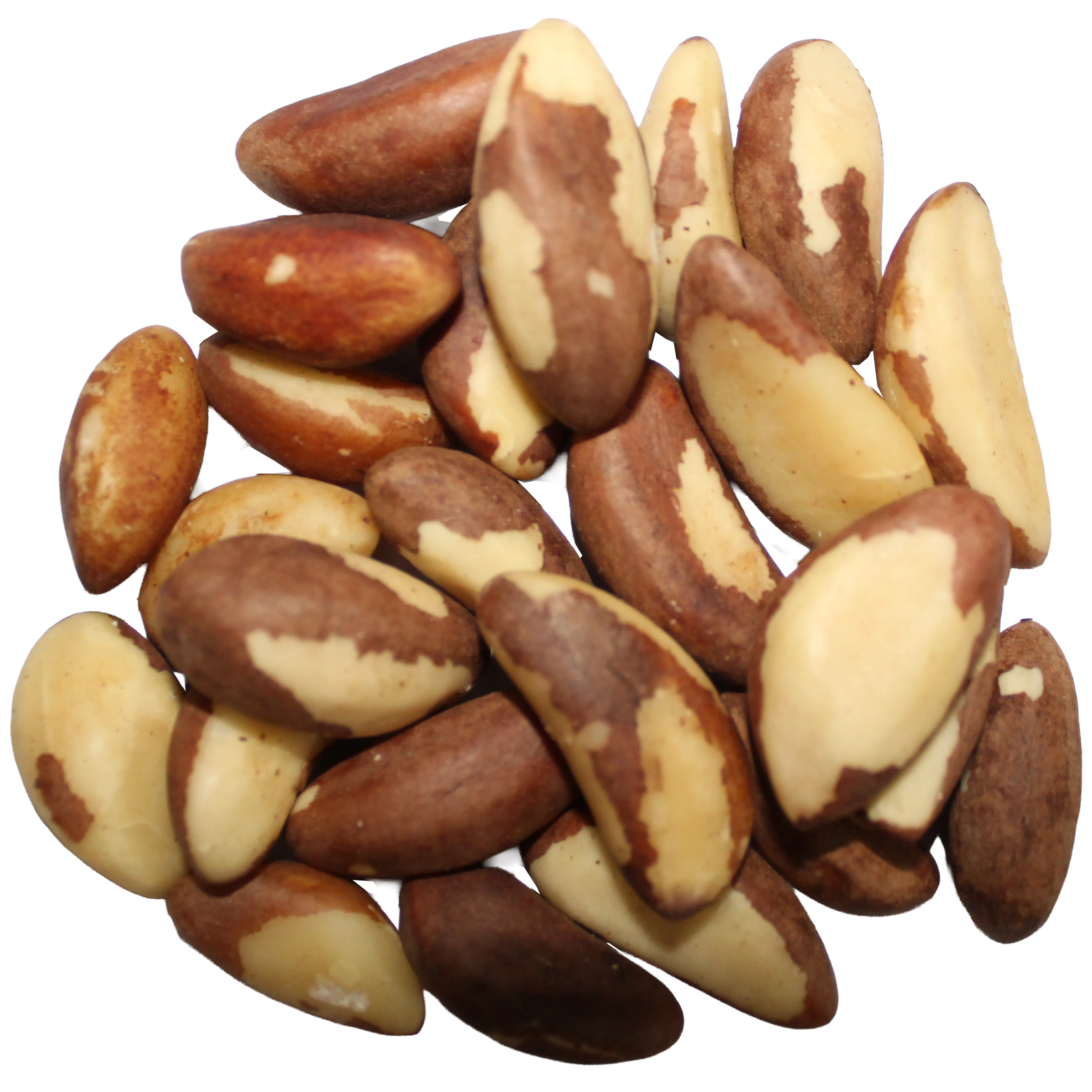 Brazilian Wallnuts